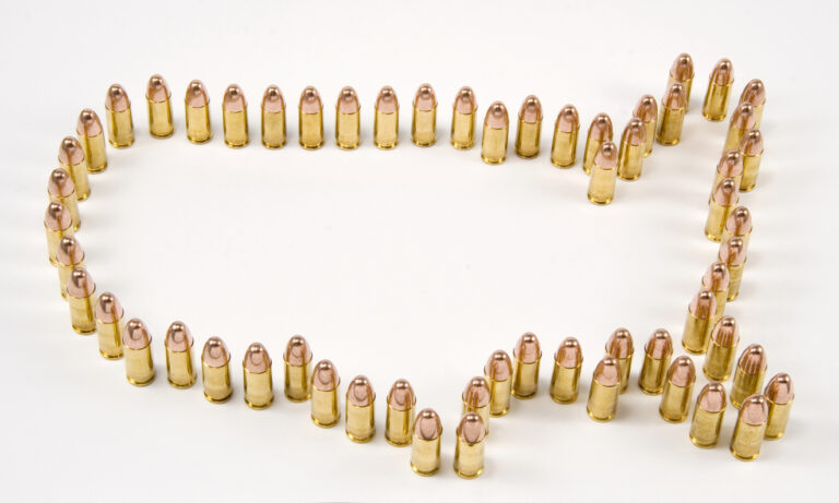 Which States Recognize a Michigan CPL / CCW Permit?