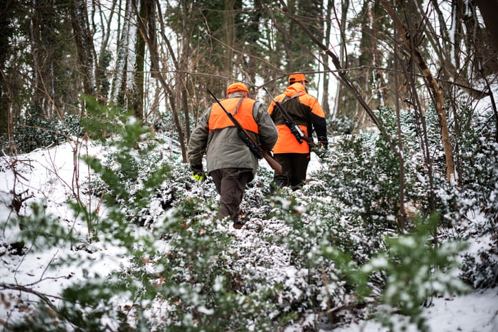 Two hunters wearing high-visibility orange vests and caps walk through a dense, snowy forest while carrying rifles over their shoulders
